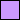 Pale violet color swatch