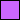 Orchid color swatch