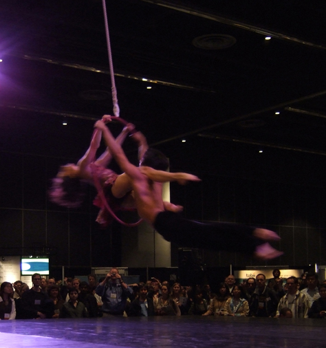 Aerialists in flight<