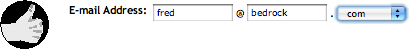 Southwest Airlines Web site: Email addresses are displayed and entered using a control that is specifically designed for them.