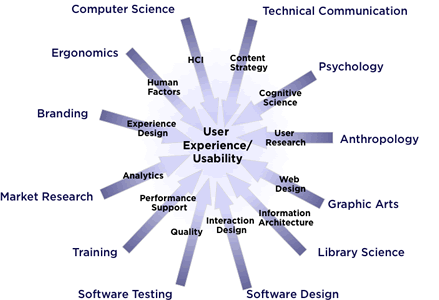 The vectors of user experience and usability