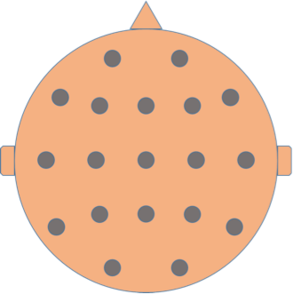 EEG electrode map of the human scalp