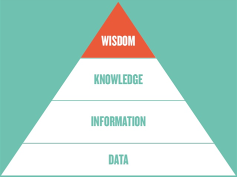 Progressing from data to wisdom