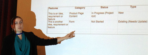 Lis Hubert, showing their product roadmap framework