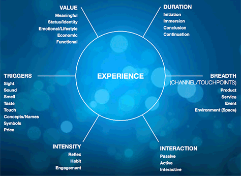 The six dimensions of experience