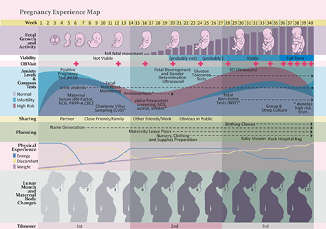 This pregnancy experience map created by Beth Kyle focuses on a human experience.