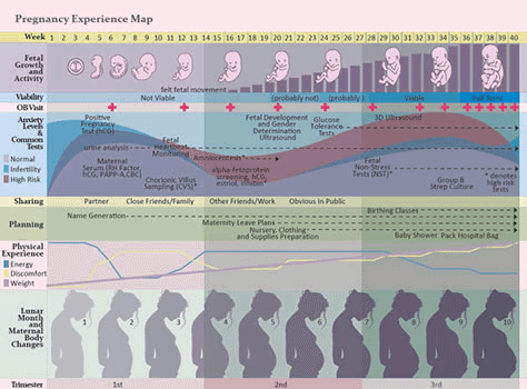 Experience map