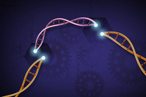 CRISPR/Cas9