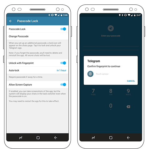 Telegram security settings and biometrics unlock screen