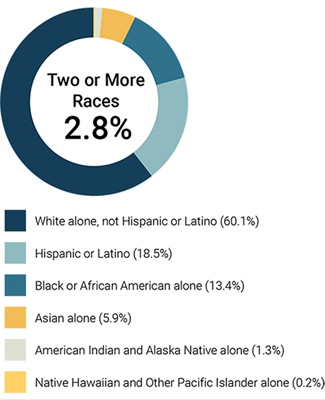 United States population by race in 2019