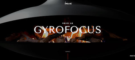 The Gyrofocus Web site