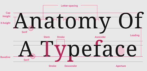 What are the elements of a typeface?