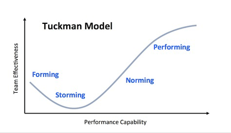 The Tuckman Model's team-development stages