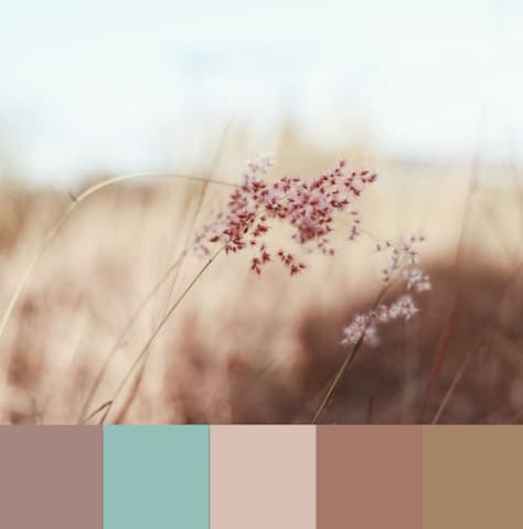 Tan and desaturated rose hues