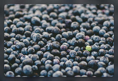 A single green blueberry